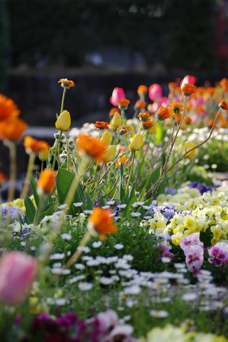 Flores y plantación en jardines de Valencia